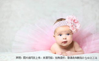 生肖风水视角下的女孩小名解析