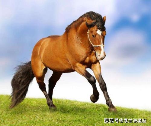 2026年属马本命年运势如何化解，穿什么颜色衣服能带来吉祥好运？