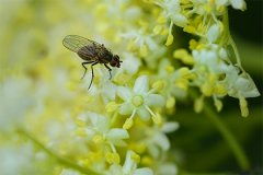四、 风水学视角下的立春节令意义