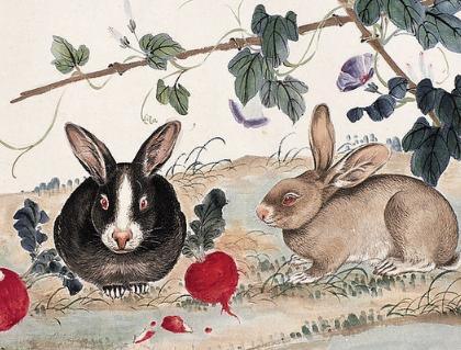 首尾共济打一生肖，难道不是属兔吗？