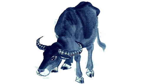 属牛人2026年逢猪年会有什么吉凶影响，会不会相冲呢？