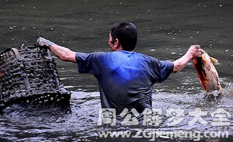 梦见和别人一起洗澡抓鱼是什么预兆或含义？