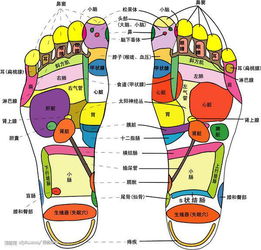 脚趾与足部尺寸的异常记录