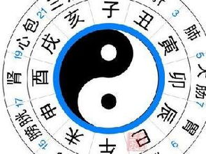 柳木命的人适合哪种身材，哪个时辰出生最为吉利？