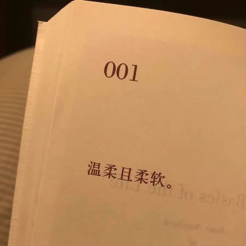 一、 研究背景与议题提出