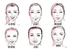 三、  个体差异性的考量：超越形态决定论的实证反思