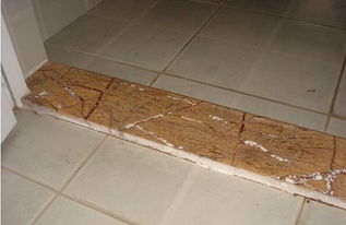 三、 2025年8月安门槛石黄道吉日的具体辨析