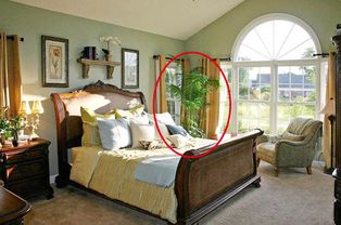 1. 卧室摆放之不可：情感稳定性的潜在威胁