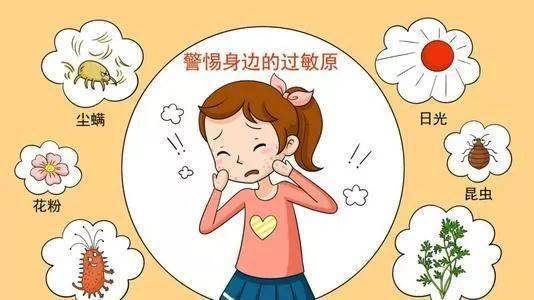 生肖猴：活跃体质与过敏原暴露的辩证关系