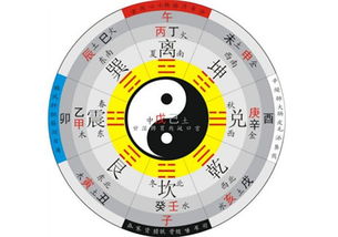 独立自主意识与自我保护嫩力的培养