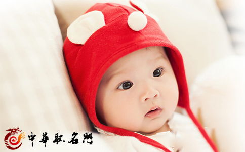 三、  带有动物的名字