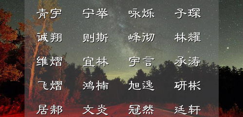 3. 八字