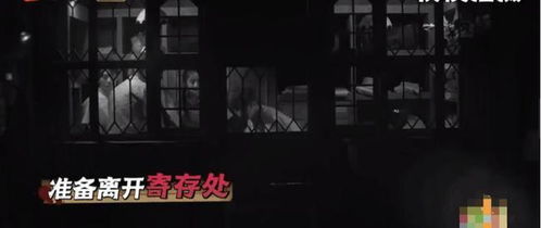 相关事件与现象解析