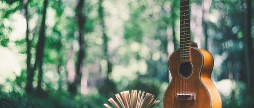 ‘将年少荒芜’和‘一片荒凉’分别指的是哪个生肖？