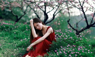 一、 桃花劫之辨析：正缘与孽缘的微妙差异