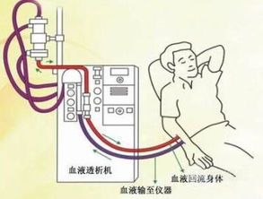 红色象征——从颜色到禁忌的转化