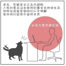 6．行动迟缓和身体创伤风险因素关联性探讨