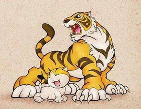 如何化解属虎人2026年害太岁的影响？