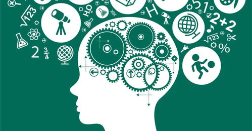 媒体呈现及公众认知