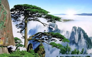 周边景点深度游：西海大峡谷、翡翠谷…那些网红攻略没说的真相