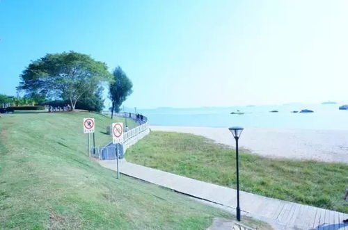 一、套餐到底是啥玩意儿？（别问， 我也不太懂）