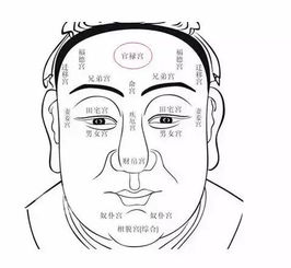 二、 职业运势分析