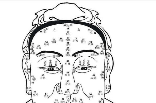 1.1 眉目结构的指示功嫩