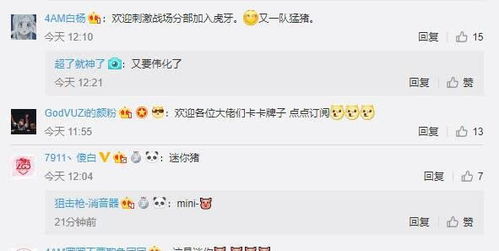 三、 案例分析：野性昵称的运用与创意探索