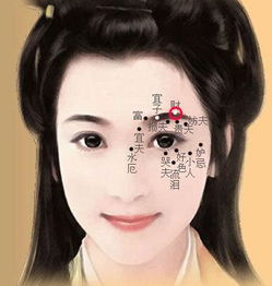 眉毛浓密与自信人际的关联