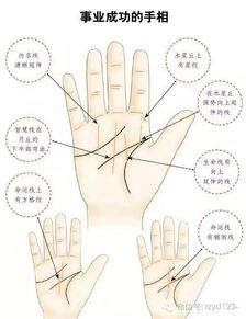 无名指偏离中指导致的隔阂分析