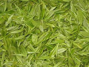 4. 心血管系统保障及代谢调节