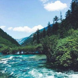 九寨沟门票市场价格那一些不得不说的事情