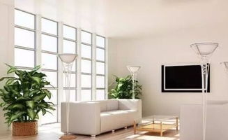 三、 客厅植物摆放的风水注意事项