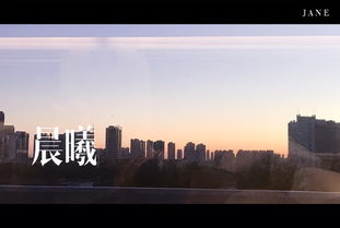 科学视角下的分析