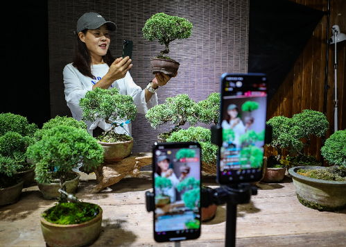 线上电商平台的战略价值与物流保障
