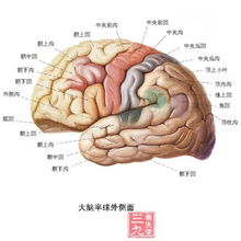 饮食养生的重要性