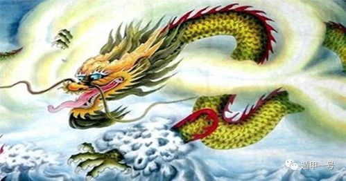 2022年属龙每月运势和财运具体表现是怎样的？