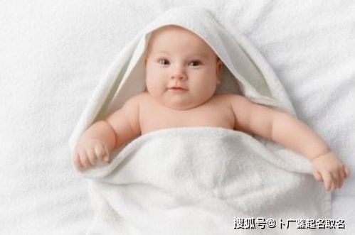 二、  龙年宝宝取名宜用字