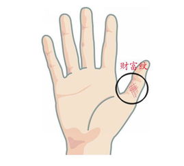 特殊指节纹形态及其社会经济暗示