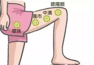 四、 干预措施与康复方案