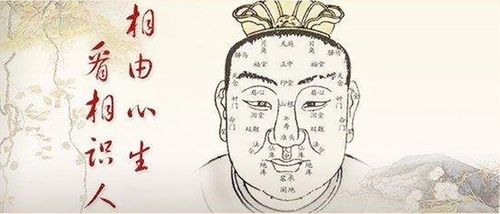 1. 职场管理中的识人用人