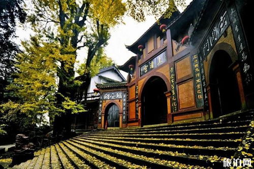 沈阳周边一日游：多元体验， 乐趣无限