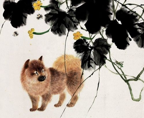 2026年属狗人与算命虎的婚姻缘分如何？预测结果是什么？