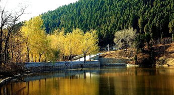 门票：抢钱还是情怀？