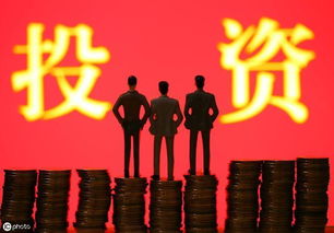 2. 行业龙头股长期投资
