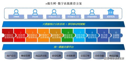 三、 避坑指南：那一些简单踩雷的名字