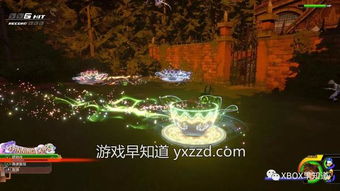 失踪事件与传闻