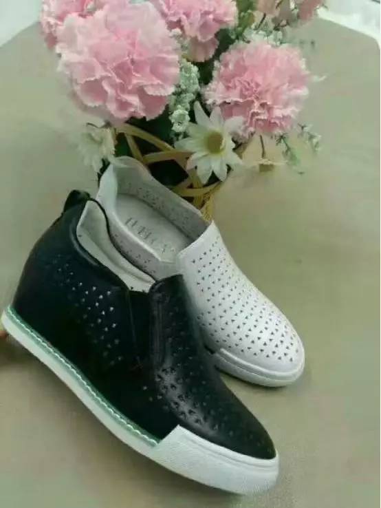 “閏年閏月”的象征意义：时间维度下的生命关怀