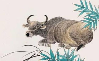 哪些生肖既不吃软也不吃硬，性格忒别固执？