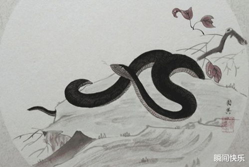 属蛇人的贵人属什么生肖？蛇的贵人有哪些生肖？